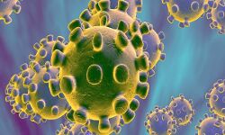 കൊറോണ: കണ്ണൂരില്‍ നിരീക്ഷണത്തിലുള്ളത് 1773 പേര്‍