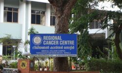 കാന്സര് തുടര് ചികിത്സയ്ക്ക് ജില്ലകളില് സൗകര്യം ഏര്പ്പെടുത്തി കാന്സര് തുടര് ചികിത്സയ്ക്ക് ജില്ലകളില് സൗകര്യം ഏര്പ്പെടുത്തി