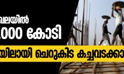 നിര്‍മാണ മേഖലയില്‍ നഷ്ടം 7000 കോടി; പെരുവഴിയിലായി ചെറുകിട കച്ചവടക്കാരും