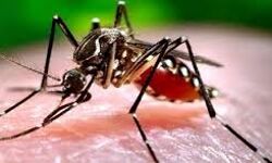 പകര്‍ച്ചവ്യാധികള്‍ക്കെതിരേ ജാഗ്രത പുലര്‍ത്തണം