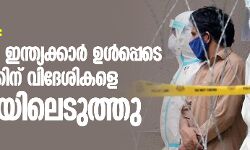 ലോക്ക് ഡൗണ്‍: മലേസ്യയില്‍ ഇന്ത്യക്കാര്‍ ഉള്‍പ്പടെ നൂറുകണക്കിന് വിദേശികളെ കസ്റ്റഡിയിലെടുത്തു