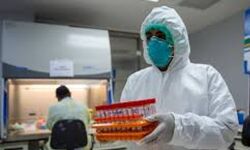 കൊവിഡ്19: സൗദിയില്‍ പുതുതായി  രോഗം സ്ഥിരീകരിച്ചത് 1362 പേര്‍ക്ക്