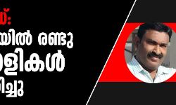 കൊവിഡ്: യുഎഇയില്‍ രണ്ടു മലയാളികള്‍ കൂടി മരിച്ചു