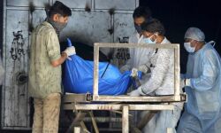 เดเตเดตเดฟเดกเต 19: เด
เดนเตเดฎเดฆเดพเดฌเดพเดฆเดฟเดฒเตโ เดเดจเตเดจเต เดฎเดฐเดฟเดเตเดเดคเต 26 เดชเตเดฐเตโ เดเตเดตเดฟเดกเต 19: เด
เดนเตเดฎเดฆเดพเดฌเดพเดฆเดฟเดฒเตโ เดเดจเตเดจเต เดฎเดฐเดฟเดเตเดเดคเต 26 เดชเตเดฐเตโ