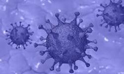 കൊവിഡ് 19: പൂനെയില്‍ 3 മരണം; പുതുതായി 99 പേര്‍ക്ക് രോഗം സ്ഥിരീകരിച്ചു