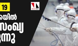 കൊവിഡ് 19: അമേരിക്കയില്‍ മരണസംഖ്യ ഉയരുന്നു