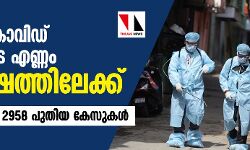 രാജ്യത്ത് കൊവിഡ് ബാധിതരുടെ എണ്ണം അരലക്ഷത്തിലേക്ക്; 24 മണിക്കൂറില് 2958 പുതിയ കേസുകള് രാജ്യത്ത് കൊവിഡ് ബാധിതരുടെ എണ്ണം അരലക്ഷത്തിലേക്ക്; 24 മണിക്കൂറില് 2958 പുതിയ കേസുകള്