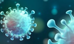 കൊവിഡ് 19: കോഴിക്കോട് ജില്ലയില് 396 പേര്കൂടി നിരീക്ഷണം പൂര്ത്തിയാക്കി കൊവിഡ് 19: കോഴിക്കോട് ജില്ലയില് 396 പേര്കൂടി നിരീക്ഷണം പൂര്ത്തിയാക്കി