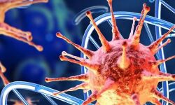 കൊവിഡ് 19: മലപ്പുറം ജില്ലയില് പുതിയ രോഗബാധിതരില്ല; 100 പേര് കൂടി പുതുതായി നിരീക്ഷണത്തില് കൊവിഡ് 19: മലപ്പുറം ജില്ലയില് പുതിയ രോഗബാധിതരില്ല; 100 പേര് കൂടി പുതുതായി നിരീക്ഷണത്തില്