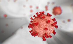 കൊവിഡ്-19 : എറണാകുളത്ത് 231 പേരെക്കൂടി വീടുകളില് നിരീക്ഷണത്തിലാക്കി;38 പരിശോധന ഫലങ്ങള് കൂടി നെഗറ്റീവ് കൊവിഡ്-19 : എറണാകുളത്ത് 231 പേരെക്കൂടി വീടുകളില് നിരീക്ഷണത്തിലാക്കി;38 പരിശോധന ഫലങ്ങള് കൂടി നെഗറ്റീവ്