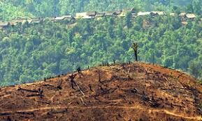 പരിസ്ഥിതി ആഘാത നിര്ണയ വിജ്ഞാപനം: സമയപരിധി ജൂണ് 30 വരെ നീട്ടി പരിസ്ഥിതി ആഘാത നിര്ണയ വിജ്ഞാപനം: സമയപരിധി ജൂണ് 30 വരെ നീട്ടി