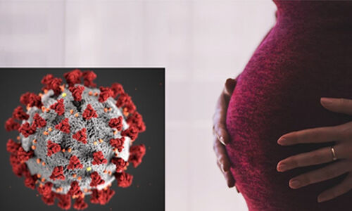 കൊറോണ:  ആറുമാസം പൂര്‍ത്തിയായ ഗര്‍ഭിണികളെ തിരിച്ചുകൊണ്ടുവരുന്നതിന് മുന്‍ഗണന നല്‍കണമെന്ന് സുപ്രിം കോടതി