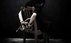 സൗദി: യുവതിയെ ബന്ദിയാക്കി വില പേശിയ മൂന്നു ബംഗ്ലാദേശികള്‍ പിടിയില്‍