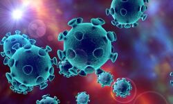 അട്ടപ്പാടിയില്‍ കൊവിഡ് നിരീക്ഷണത്തിലായിരുന്ന യുവാവ് മരിച്ചു