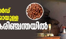 เดฑเตเดทเดจเตโ เดเดพเดฐเตโเดกเต เดเดเดฎเดเดณเตโเดเตเดเดพเดฏเตเดณเตเดณ เดเดเดฒ เดเดฐเดฟเดเตเดเดจเตเดคเดฏเดฟเดฒเตโ เดฑเตเดทเดจเตโ เดเดพเดฐเตโเดกเต เดเดเดฎเดเดณเตโเดเตเดเดพเดฏเตเดณเตเดณ เดเดเดฒ เดเดฐเดฟเดเตเดเดจเตเดคเดฏเดฟเดฒเตโ