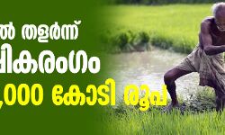 കൊവിഡില് തളര്ന്ന് കാര്ഷികരംഗം; നഷ്ടം 8,000 കോടി രൂപ കൊവിഡില് തളര്ന്ന് കാര്ഷികരംഗം; നഷ്ടം 8,000 കോടി രൂപ