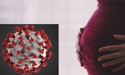 കൊറോണ:  ആറുമാസം പൂര്‍ത്തിയായ ഗര്‍ഭിണികളെ തിരിച്ചുകൊണ്ടുവരുന്നതിന് മുന്‍ഗണന നല്‍കണമെന്ന് സുപ്രിം കോടതി