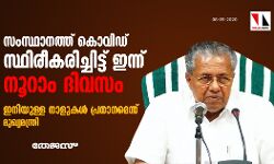 സംസ്ഥാനത്ത് കൊവിഡ് രോഗം സ്ഥിരീകരിച്ചിട്ട് ഇന്ന് നൂറാം ദിവസം; ഇനിയുള്ള നാളുകൾ പ്രധാനമെന്ന് മുഖ്യമന്ത്രി