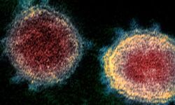 കോഴിക്കോട് നിരീക്ഷണത്തിലുള്ളവരുടെ എണ്ണം ഇരട്ടിയായി; 1186 പേര്‍ കൂടി നിരീക്ഷണത്തില്‍