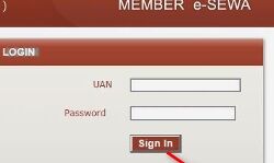 ഇ.പി.എഫ്.ഒ തൊഴിലുടമകള്‍ക്കായി നടപടിക്രമം ലഘൂകരിക്കുന്നു