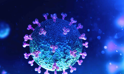 മദീനയില്‍ പല സ്റ്റ്രീറ്റുകളിലും പ്രത്യേകമായി ഏര്‍പ്പെടുത്തിയ വിലക്ക് നീക്കി