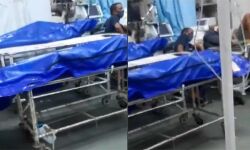 മുംബൈ കെഇഎം ആശുപത്രിയില് രോഗികള്ക്കടുത്ത് മൃതദേഹങ്ങള്; ദൃശ്യങ്ങള് പുറത്ത് മുംബൈ കെഇഎം ആശുപത്രിയില് രോഗികള്ക്കടുത്ത് മൃതദേഹങ്ങള്; ദൃശ്യങ്ങള് പുറത്ത്