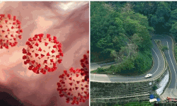 വയനാട്ടില് ഇന്ന് രോഗം സ്ഥിരീകരിച്ചത് 11 മാസം പ്രായമായ കുഞ്ഞിന്, പകര്ന്നത് മുത്തച്ഛനില് നിന്ന് വയനാട്ടില് ഇന്ന് രോഗം സ്ഥിരീകരിച്ചത് 11 മാസം പ്രായമായ കുഞ്ഞിന്, പകര്ന്നത് മുത്തച്ഛനില് നിന്ന്