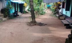 ടി. ആര്‍ ആന്‍ഡ് ടി കമ്പനിയിലെ തൊഴില്‍ തര്‍ക്കം: ഒത്തുതീര്‍പ്പുവ്യവസ്ഥ നടപ്പാക്കണമെന്ന് വെല്‍ഫെയല്‍ പാര്‍ട്ടി പൂഞ്ഞാര്‍ നിയോജകമണ്ഡലം കമ്മിറ്റി