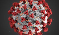 เดเดฑเดฃเดพเดเตเดณเดคเตเดคเต เดเดจเตเดจเต เดฐเตเดเด เดธเตเดฅเดฟเดฐเตเดเดฐเดฟเดเตเดเดคเต เดฎเดพเดฒเดฟเดฆเตเดตเตเดชเดฟเดฒเตโ เดจเดฟเดจเตเดจเตเดคเตเดคเดฟเดฏ เดฏเตเดชเดฟ เดธเตเดตเดฆเตเดถเดฟเดเตเดเต เดเดฑเดฃเดพเดเตเดณเดคเตเดคเต เดเดจเตเดจเต เดฐเตเดเด เดธเตเดฅเดฟเดฐเตเดเดฐเดฟเดเตเดเดคเต เดฎเดพเดฒเดฟเดฆเตเดตเตเดชเดฟเดฒเตโ เดจเดฟเดจเตเดจเตเดคเตเดคเดฟเดฏ เดฏเตเดชเดฟ เดธเตเดตเดฆเตเดถเดฟเดเตเดเต