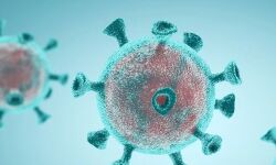 കൊവിഡ് 19: മലപ്പുറം ജില്ലയില്‍ 146 പേര്‍ കൂടി പുതുതായി നിരീക്ഷണത്തില്‍