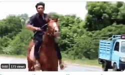 ലോക്ക്ഡൗണ്‍ നിര്‍ദേശങ്ങള്‍ ലംഘിച്ച് ബിജെപി എംഎല്‍എയുടെ മകന്റെ കുതിര സവാരി പ്രകടനം (വീഡിയോ)