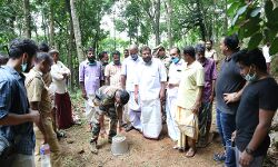 കടുവയെ പിടിക്കാന്‍ കൂടുതല്‍ റാപ്പിഡ് റെസ്‌പോണ്‍സ്  ടീമിനെ നിയോഗിക്കണം: എംഎല്‍എ