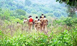 വടശേരിക്കരയില് ജനവാസ മേഖലയില് വീണ്ടും കടുവയെ കണ്ടു വടശേരിക്കരയില് ജനവാസ മേഖലയില് വീണ്ടും കടുവയെ കണ്ടു