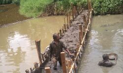 നെന്മേണിച്ചിറ ബണ്ട് പുനര്‍നിര്‍മാണ പദ്ധതി നിര്‍ത്തിവെക്കണമെന്ന് എസ്ഡിപിഐ