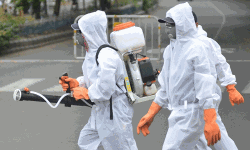 เดฐเดพเดเตเดฏเดคเตเดคเต เดเตเดตเดฟเดกเต เดฌเดพเดงเดฟเดคเดฐเตเดเต เดเดฃเตเดฃเด 74,281; เดฎเดฐเดฃเด 2415 เดฐเดพเดเตเดฏเดคเตเดคเต เดเตเดตเดฟเดกเต เดฌเดพเดงเดฟเดคเดฐเตเดเต เดเดฃเตเดฃเด 74,281; เดฎเดฐเดฃเด 2415