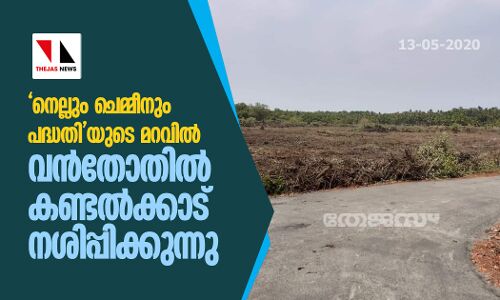 നെല്ലും ചെമ്മീനും പദ്ധതിയുടെ മറവില്‍ വന്‍തോതില്‍ കണ്ടല്‍ക്കാട് നശിപ്പിക്കുന്നു