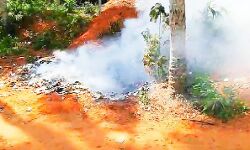 ആശുപത്രി മാലിന്യങ്ങള്‍ ജനവാസ മേഖലയിലിട്ട് കത്തിക്കുന്നതായി പരാതി