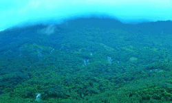 ഉരുള്‍പൊട്ടല്‍ സാധ്യത:   ചെക്കുന്ന് മലയുടെ പരിസരവാസികളെ മാറ്റി പാര്‍പ്പിക്കണമെന്ന് ചെക്കുന്ന് പരിസ്ഥിതി സംരക്ഷണ സമിതി