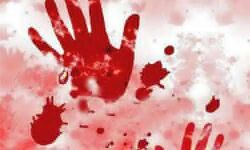 കോട്ടയം വാകത്താനത്ത് വയോധികന്‍ വെട്ടേറ്റ് മരിച്ച നിലയില്‍