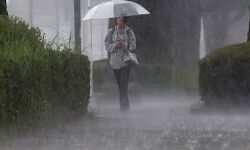 കാലവര്‍ഷം ജൂണ്‍ അഞ്ച് മുതലെന്ന് കാലാവസ്ഥ നിരീക്ഷണ കേന്ദ്രം; നാല് ദിവസം നേരത്തേയാകാനും സാധ്യത