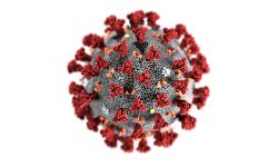 കാസര്‍ക്കോട് രോഗ വിമുക്തനായ വ്യക്തിക്ക് വീണ്ടും കൊവിഡ് ലക്ഷണങ്ങള്‍