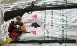 അനധികൃത നാടന്‍ തോക്കും തിരകളും വെടിമരുന്നും പിടികൂടി