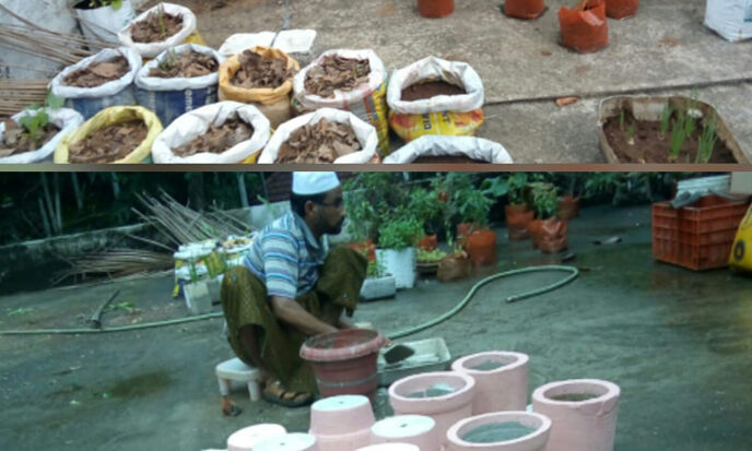 മദ്രസാധ്യാപകന്റെ ടെറസ് കൃഷി ശ്രദ്ധപിടിച്ചുപറ്റുന്നു; ഒപ്പം ഗ്രോബാഗും മദ്രസാധ്യാപകന്റെ ടെറസ് കൃഷി ശ്രദ്ധപിടിച്ചുപറ്റുന്നു; ഒപ്പം ഗ്രോബാഗും