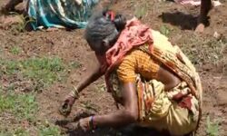 സുഭിക്ഷകേരളം പദ്ധതി നടപ്പിലാക്കാനൊരുങ്ങി മലപ്പുറം ജില്ല