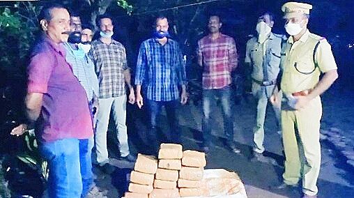28 കിലോഗ്രാം കഞ്ചാവ് കുഴിച്ചിട്ട നിലയില്; പ്രതിയെ പിടിക്കൂടി 28 കിലോഗ്രാം കഞ്ചാവ് കുഴിച്ചിട്ട നിലയില്; പ്രതിയെ പിടിക്കൂടി