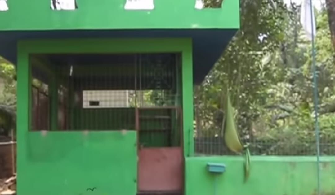 അടിയാളത്തിയോടുള്ള ക്രൂരത: ഓര്‍മകളില്‍ നിറഞ്ഞ് ചേറൂര്‍ വിപ്ലവ സ്മരണകള്‍