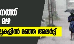 സംസ്ഥാനത്ത് പരക്കെ മഴ; ഒമ്പത് ജില്ലകളിൽ മഞ്ഞ അലർട്ട് സംസ്ഥാനത്ത് പരക്കെ മഴ; ഒമ്പത് ജില്ലകളിൽ മഞ്ഞ അലർട്ട്