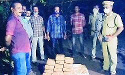 28 കിലോഗ്രാം കഞ്ചാവ് കുഴിച്ചിട്ട നിലയില്‍; പ്രതിയെ പിടിക്കൂടി