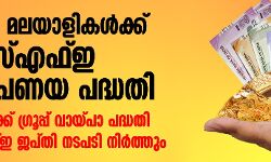 เดฎเดฑเตเดจเดพเดเดจเตโ เดฎเดฒเดฏเดพเดณเดฟเดเดณเตโเดเตเดเต เดเตเดเดธเตเดเดซเตเด เดธเตเดตเดฐเตโเดฃเดชเดฃเดฏ เดชเดฆเตเดงเดคเดฟ; เดตเตเดฏเดพเดชเดพเดฐเดฟเดเดณเตโเดเตเดเต เดเตเดฐเตเดชเตเดชเต เดตเดพเดฏเตเดชเดพ เดชเดฆเตเดงเดคเดฟ เดฎเดฑเตเดจเดพเดเดจเตโ เดฎเดฒเดฏเดพเดณเดฟเดเดณเตโเดเตเดเต เดเตเดเดธเตเดเดซเตเด เดธเตเดตเดฐเตโเดฃเดชเดฃเดฏ เดชเดฆเตเดงเดคเดฟ; เดตเตเดฏเดพเดชเดพเดฐเดฟเดเดณเตโเดเตเดเต เดเตเดฐเตเดชเตเดชเต เดตเดพเดฏเตเดชเดพ เดชเดฆเตเดงเดคเดฟ