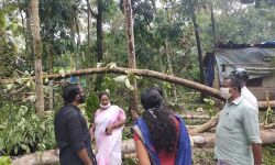 ചുഴലിക്കാറ്റില്‍ കോട്ടയം വൈക്കത്ത് 2.42 കോടിയുടെ നാശനഷ്ടം